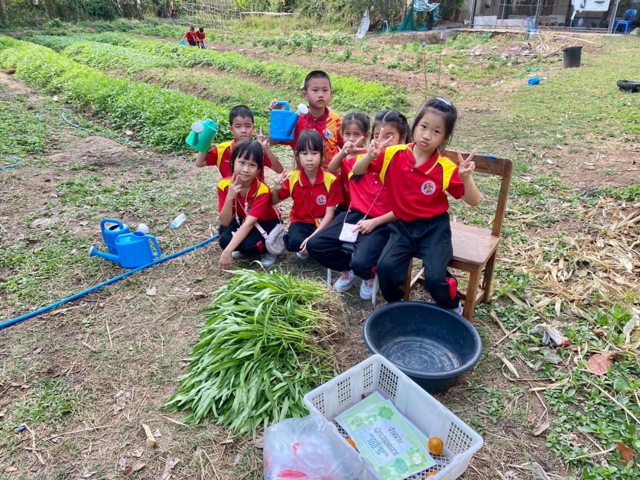 ภาพประกอบที่ 2