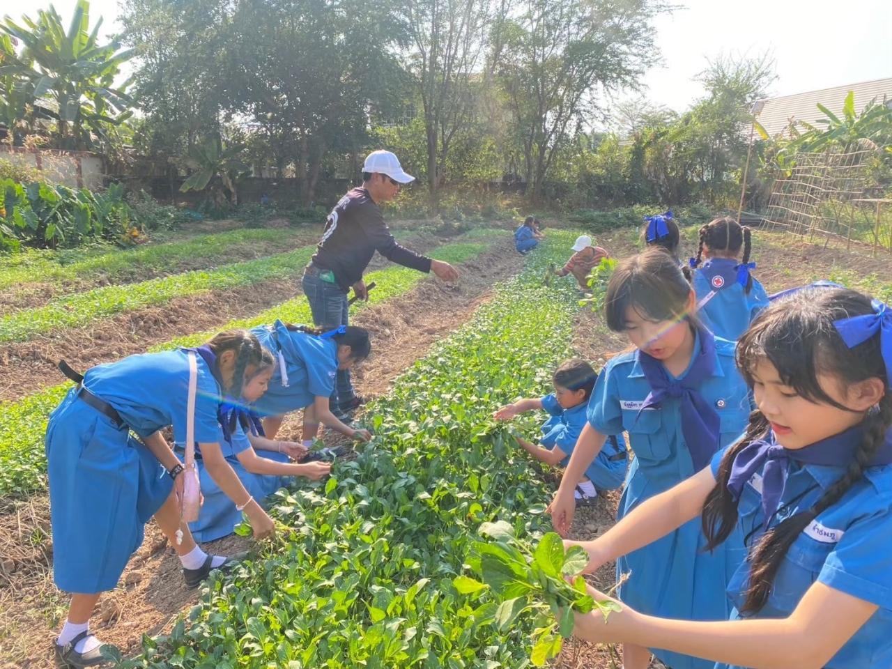 ภาพประกอบที่ 3