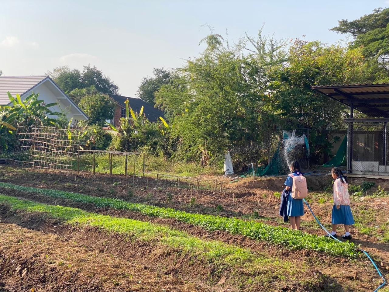ภาพประกอบที่ 5