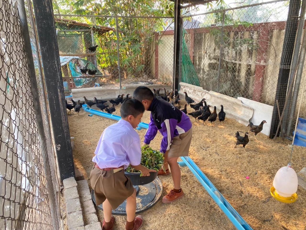 ภาพประกอบที่ 7