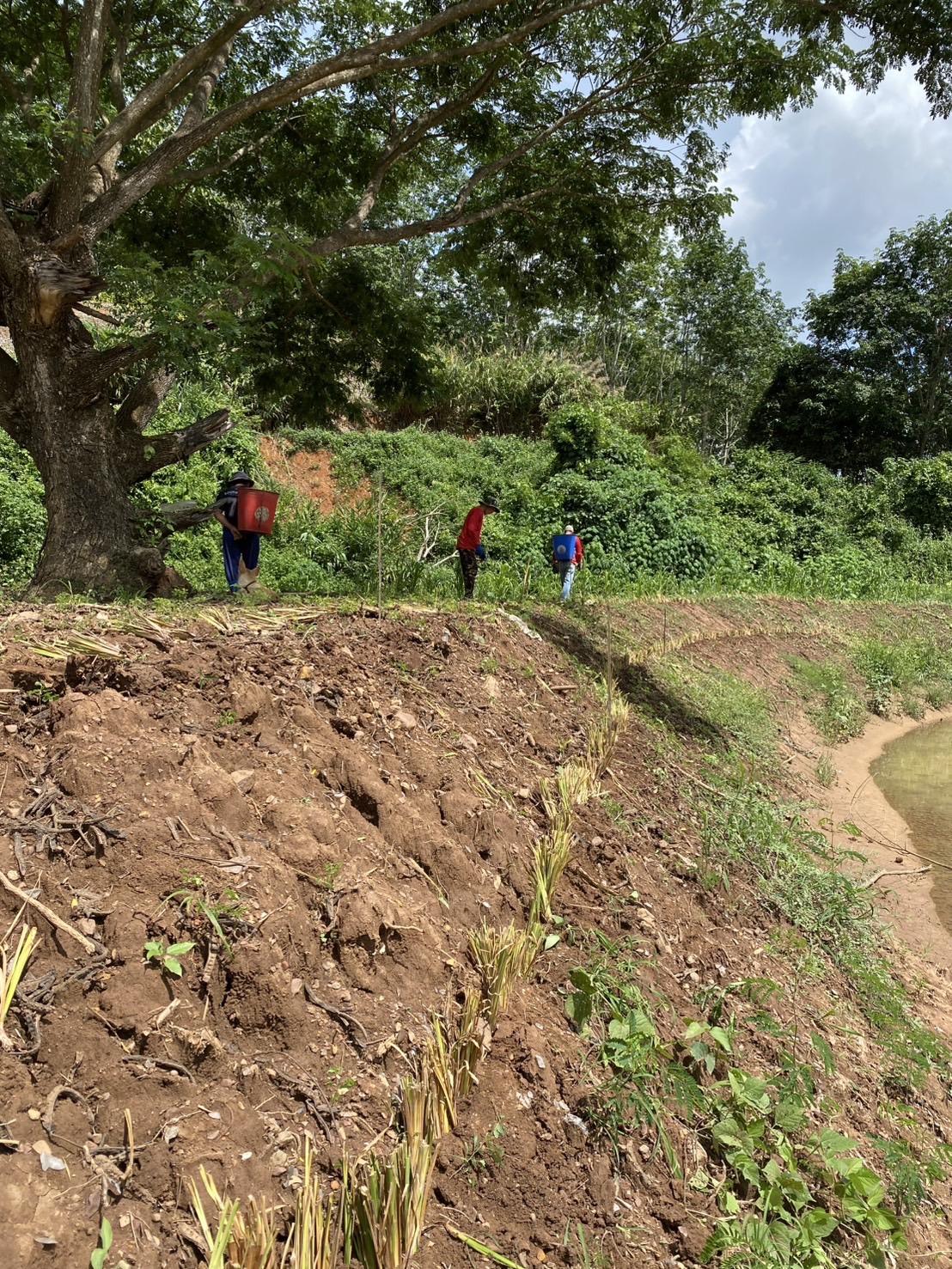 ภาพประกอบที่ 1