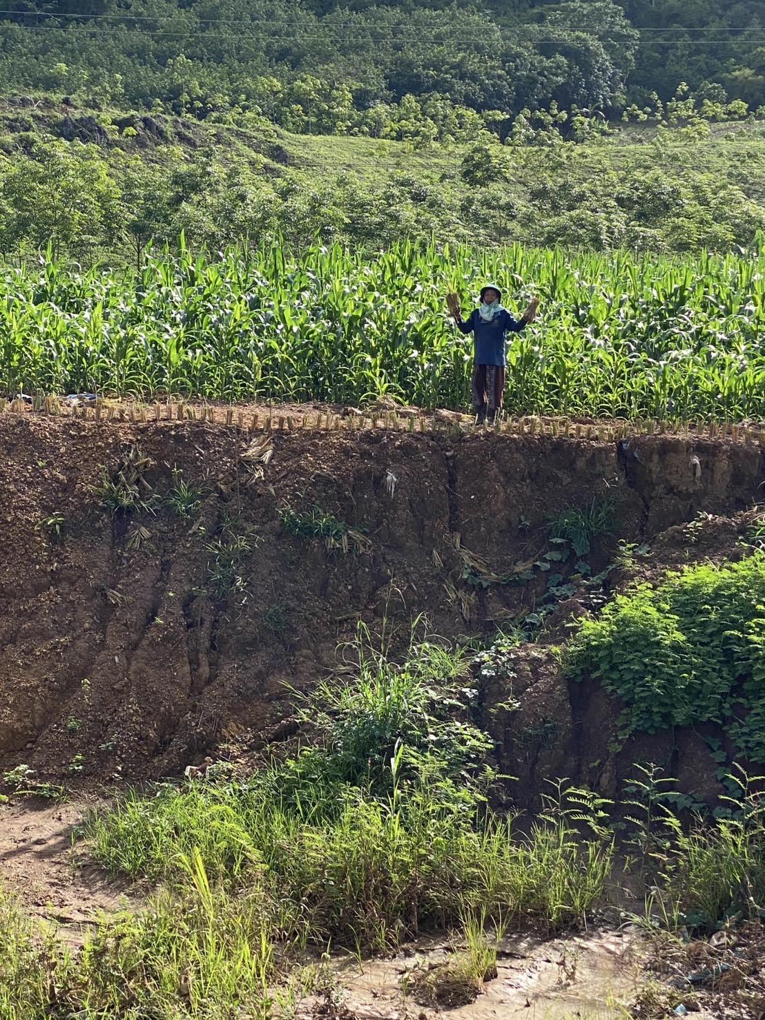 ภาพประกอบที่ 2