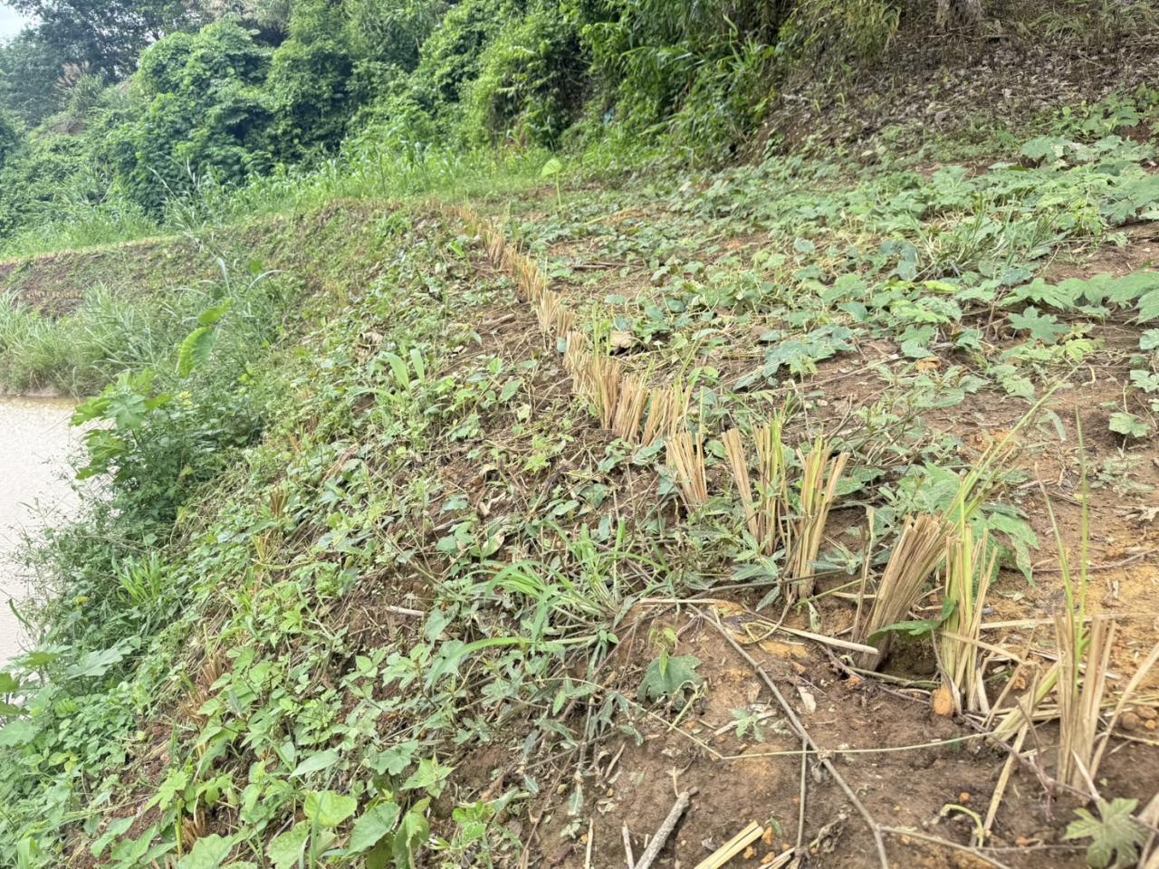 ภาพประกอบที่ 6