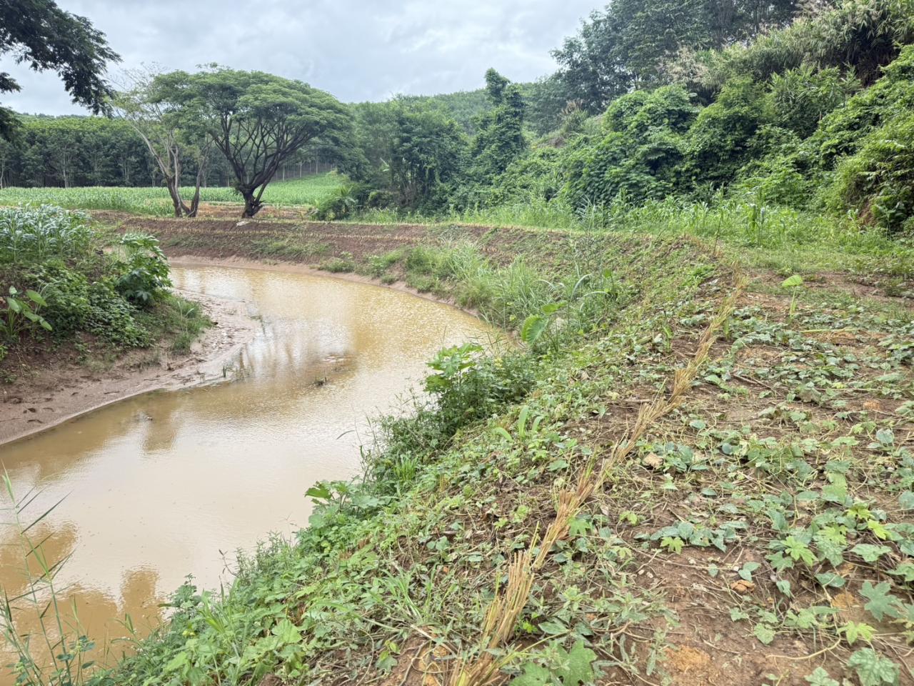 ภาพประกอบที่ 7