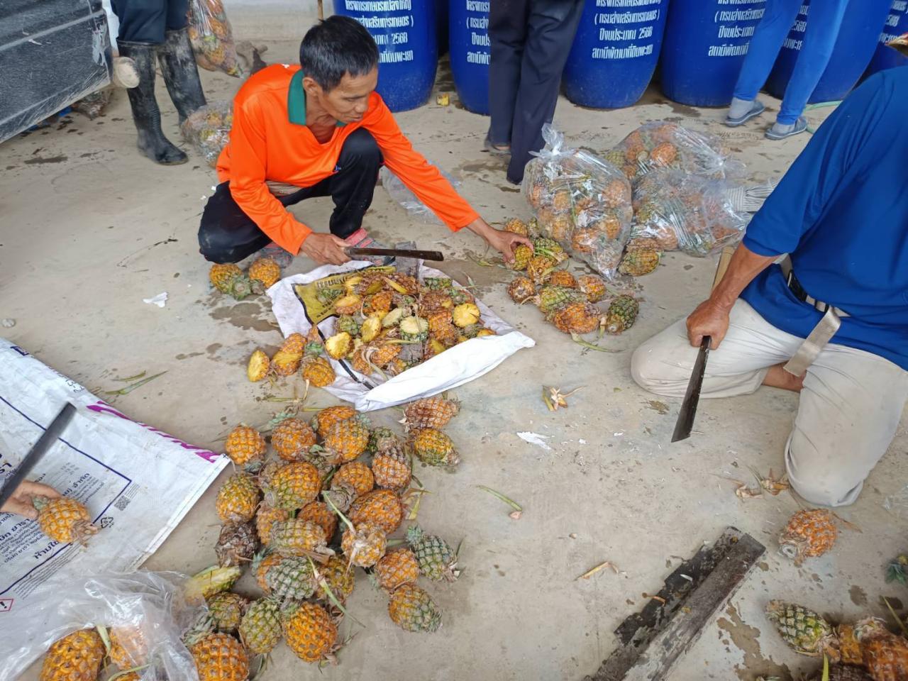 ภาพประกอบที่ 5