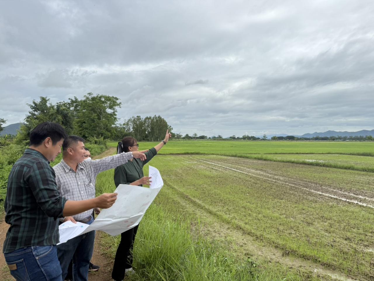 ภาพประกอบที่ 7