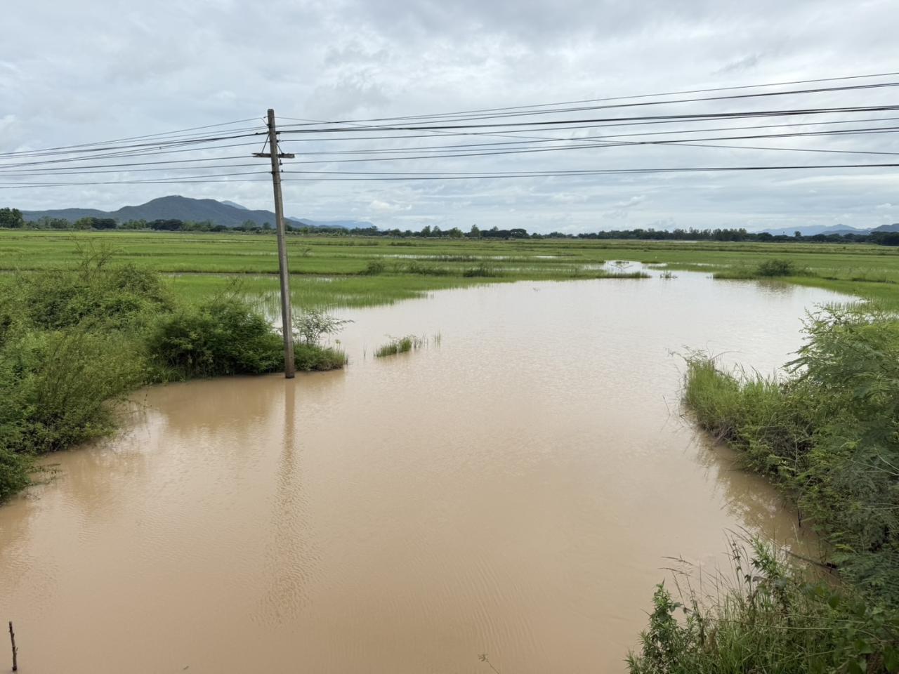 ภาพประกอบที่ 10