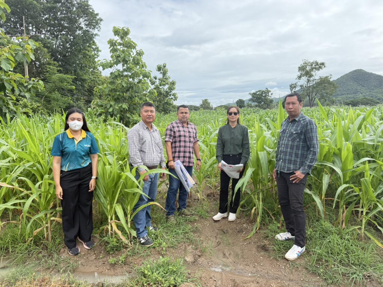 ภาพประกอบที่ 12