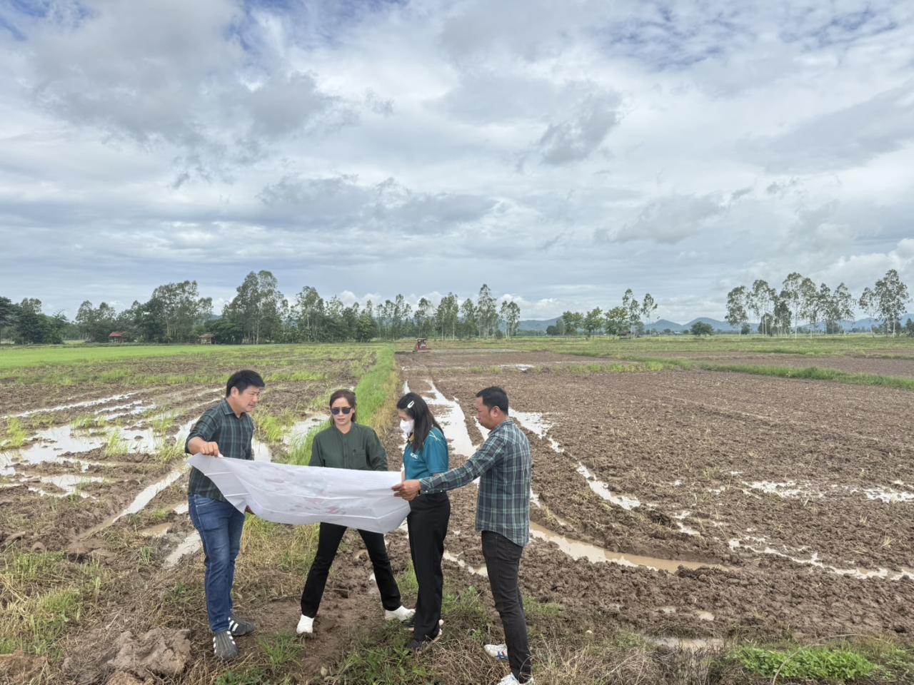 ภาพประกอบที่ 15