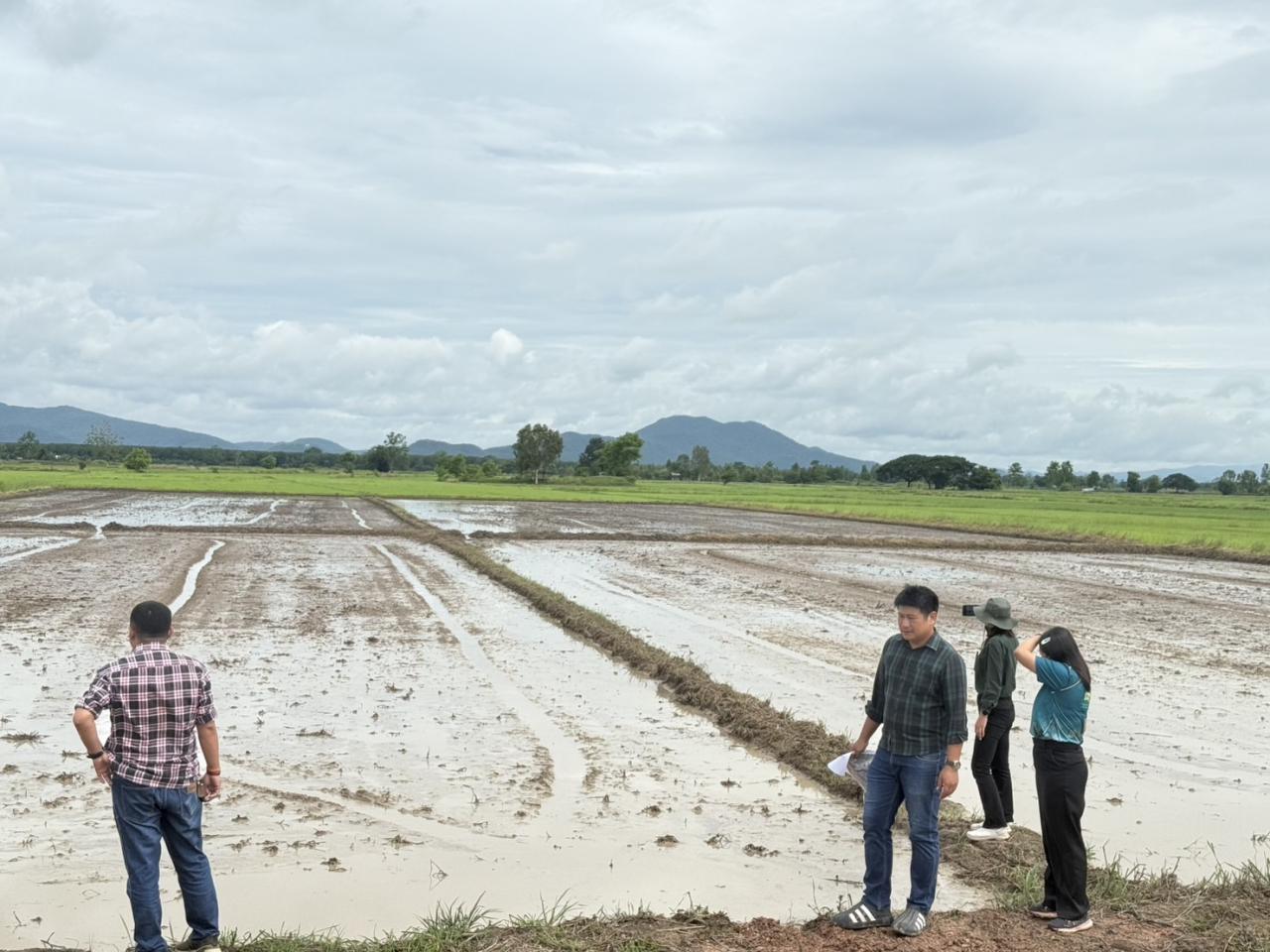 ภาพประกอบที่ 16