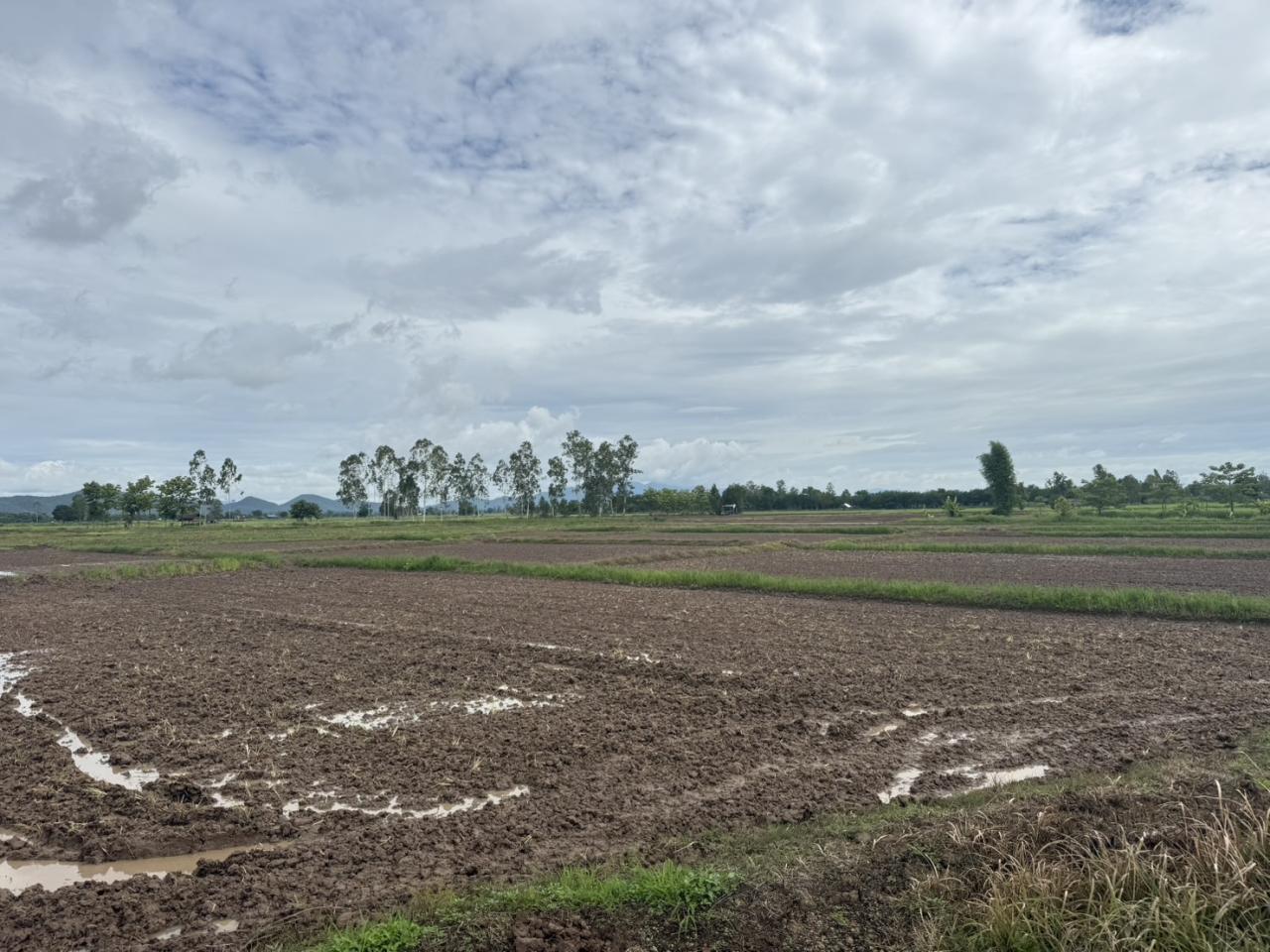 ภาพประกอบที่ 17