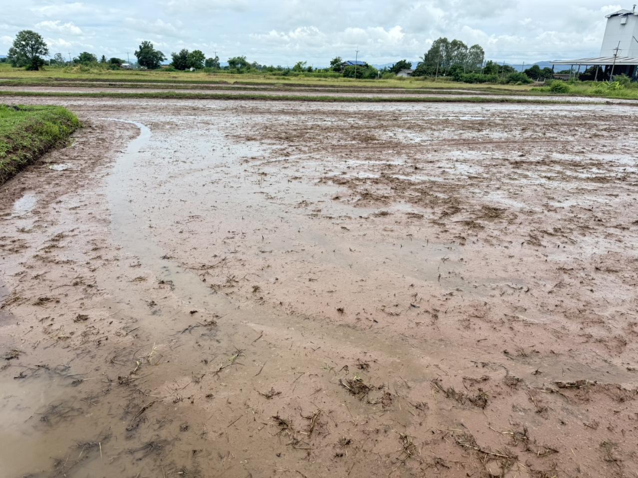 ภาพประกอบที่ 18