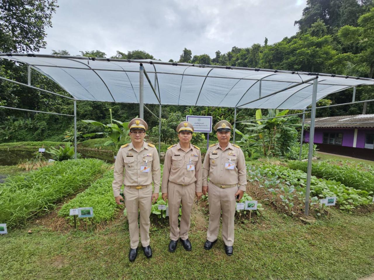 ภาพประกอบที่ 8