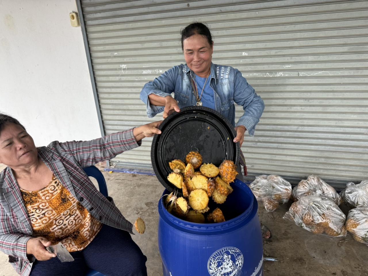 ภาพประกอบที่ 2