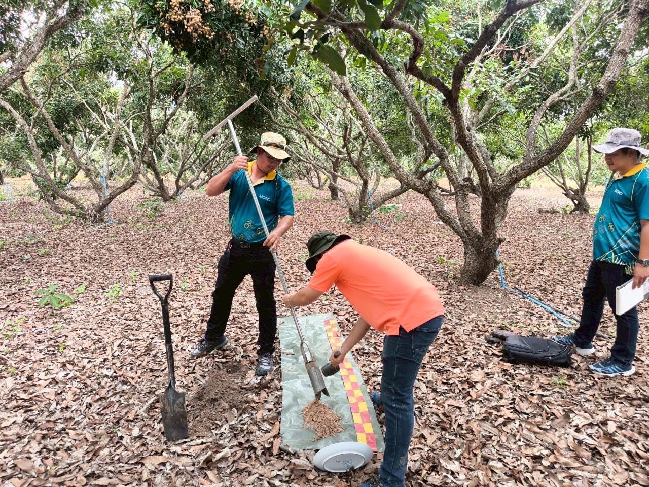 ภาพประกอบที่ 11