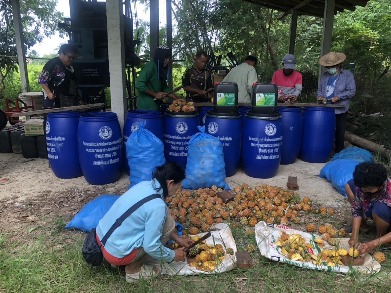 ภาพประกอบที่ 1