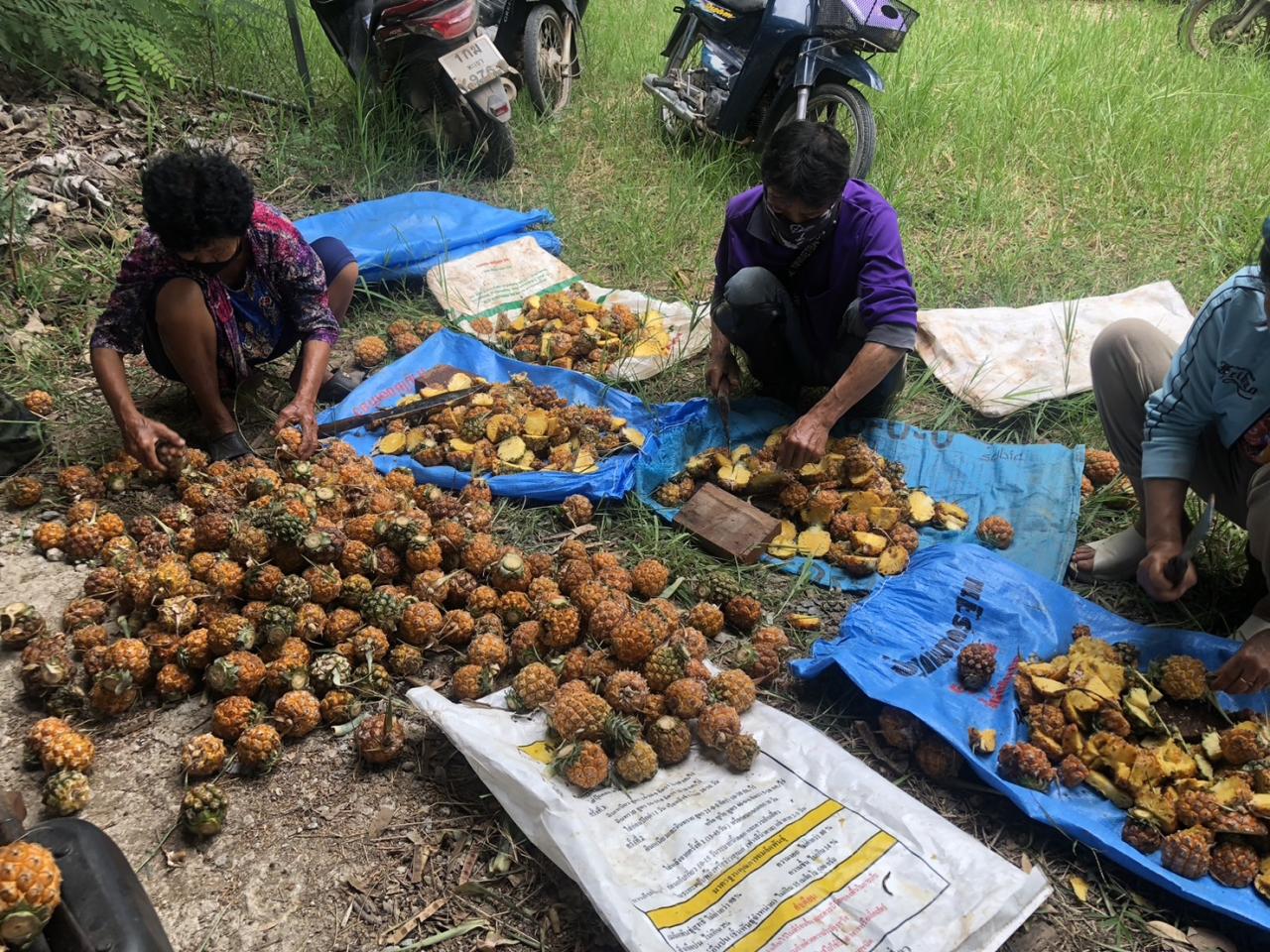 ภาพประกอบที่ 2