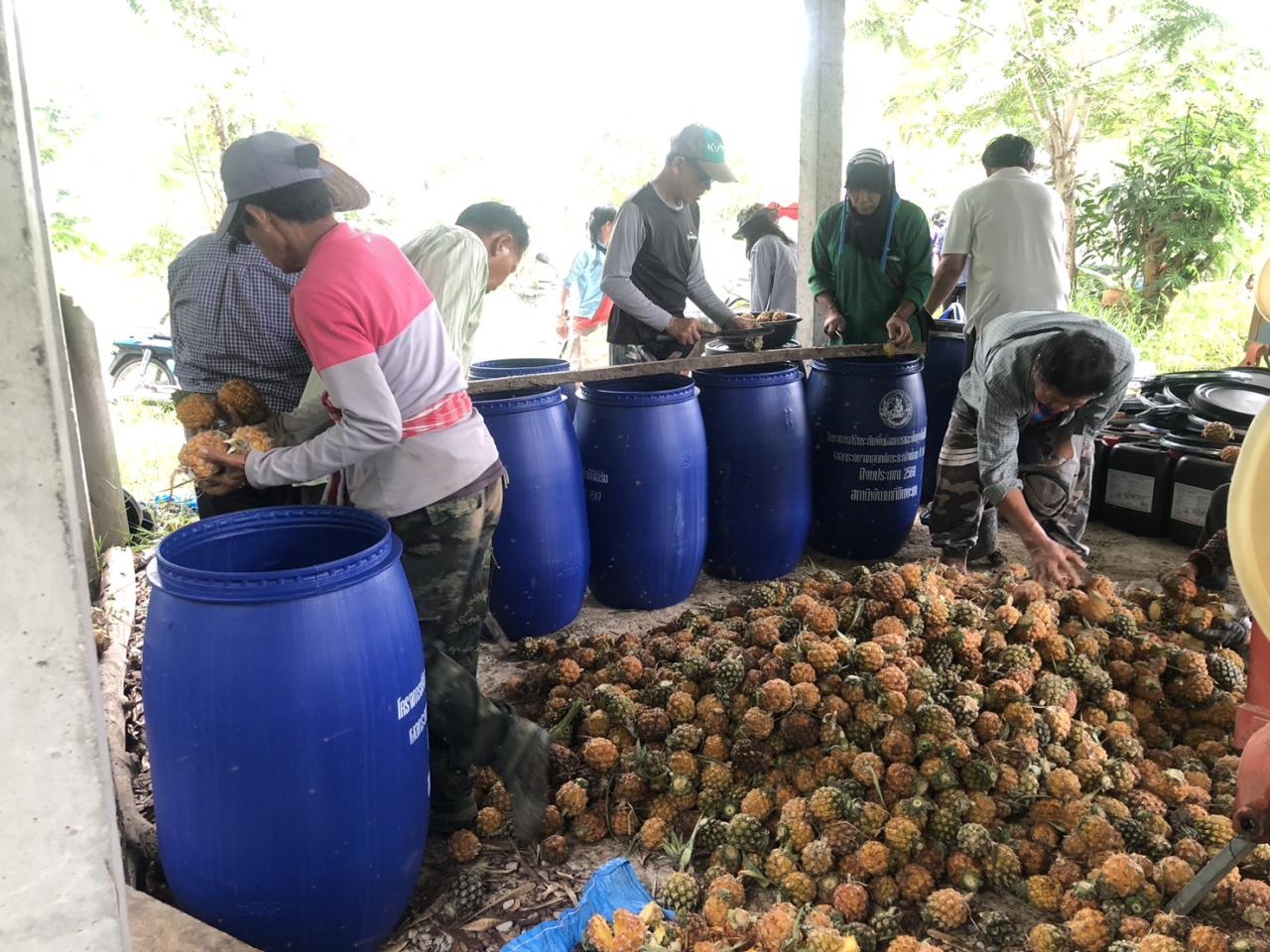 ภาพประกอบที่ 3