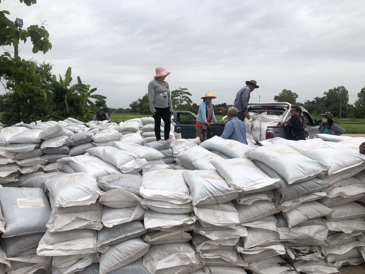 ภาพประกอบที่ 8