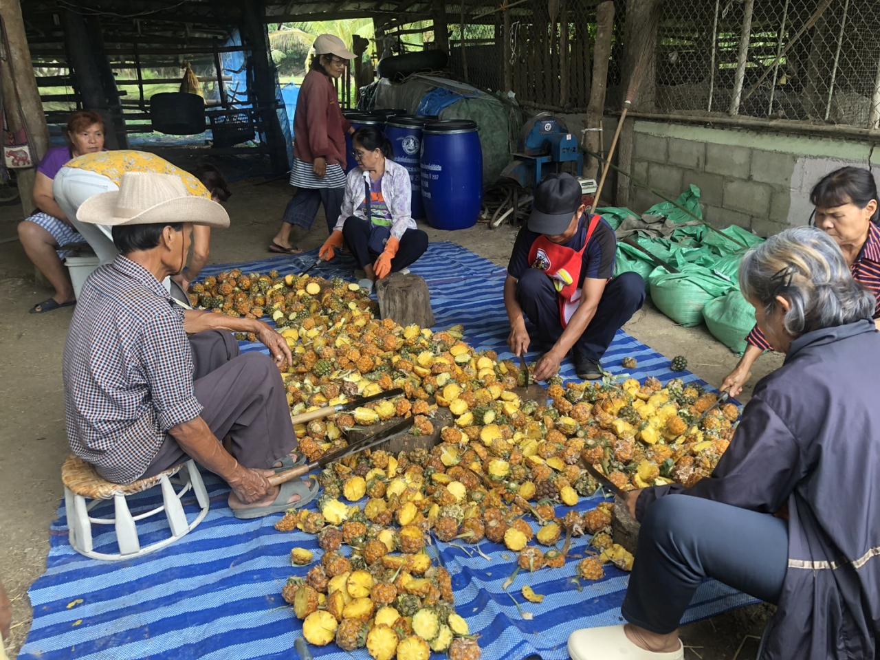 ภาพประกอบที่ 14