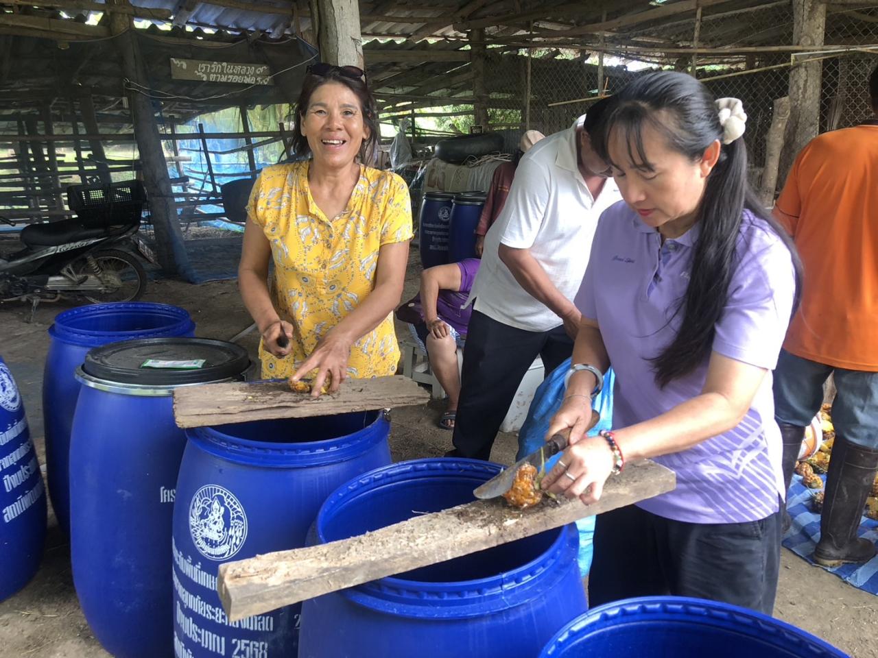ภาพประกอบที่ 15
