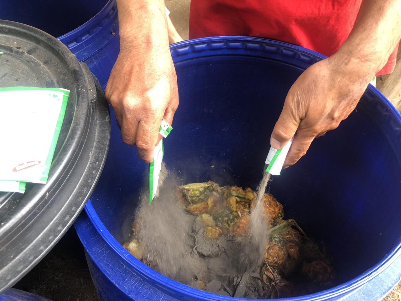 ภาพประกอบที่ 17