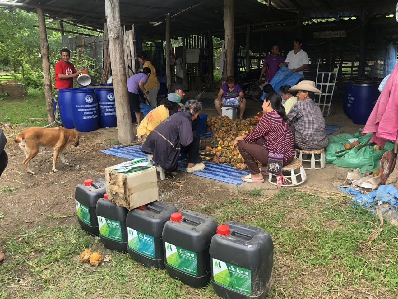 ภาพประกอบที่ 18