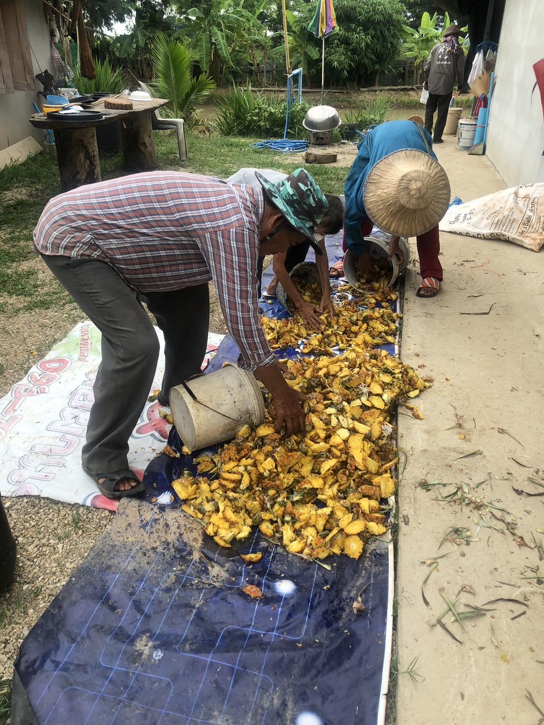 ภาพประกอบที่ 7