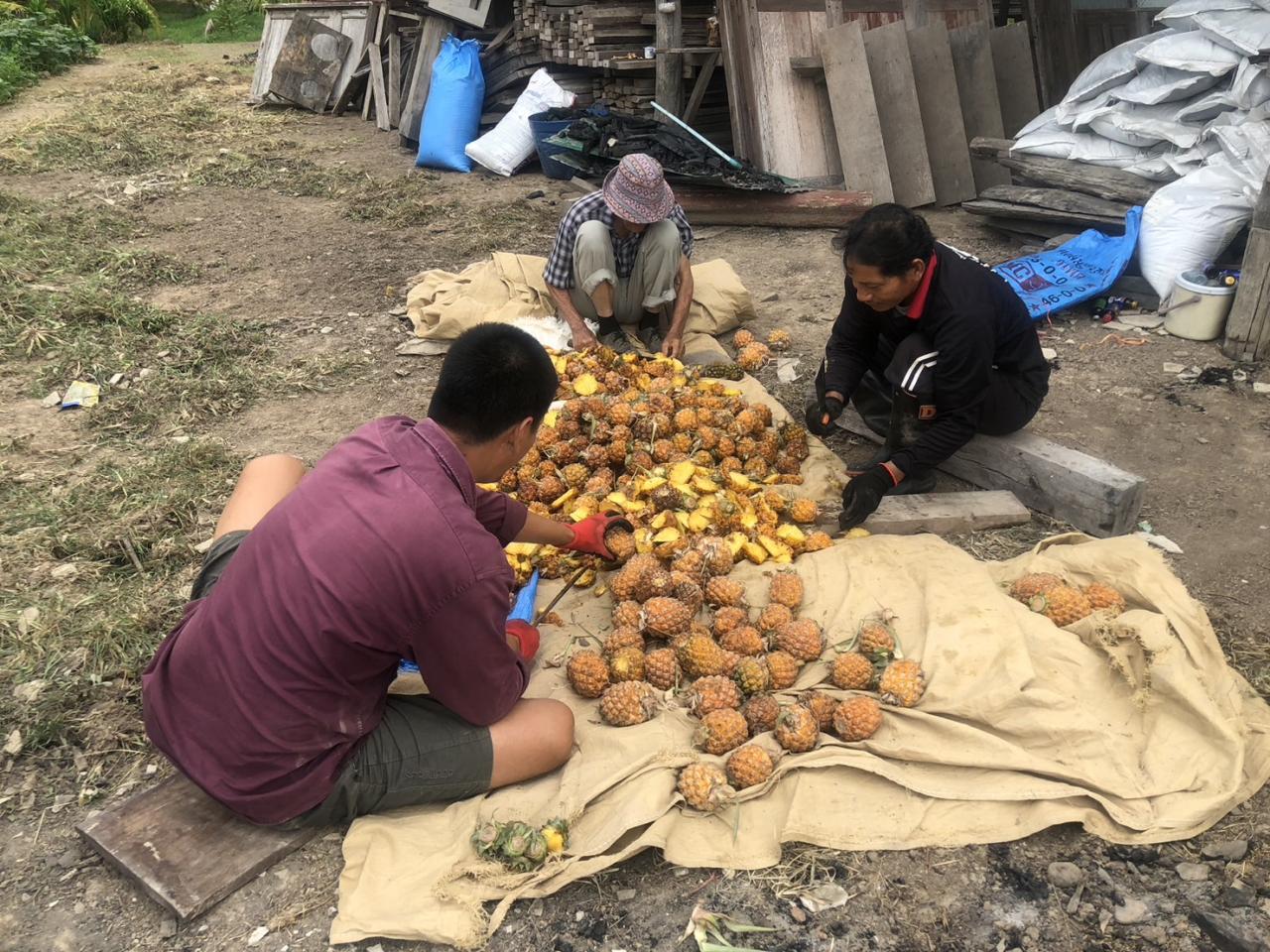ภาพประกอบที่ 1