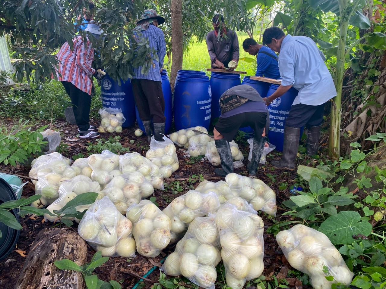 ภาพประกอบที่ 0