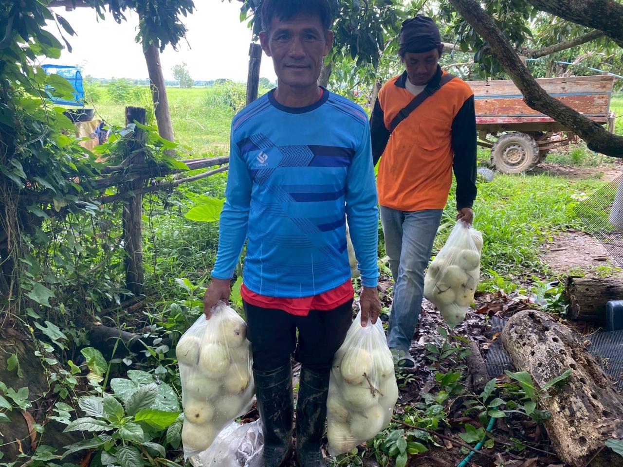 ภาพประกอบที่ 1