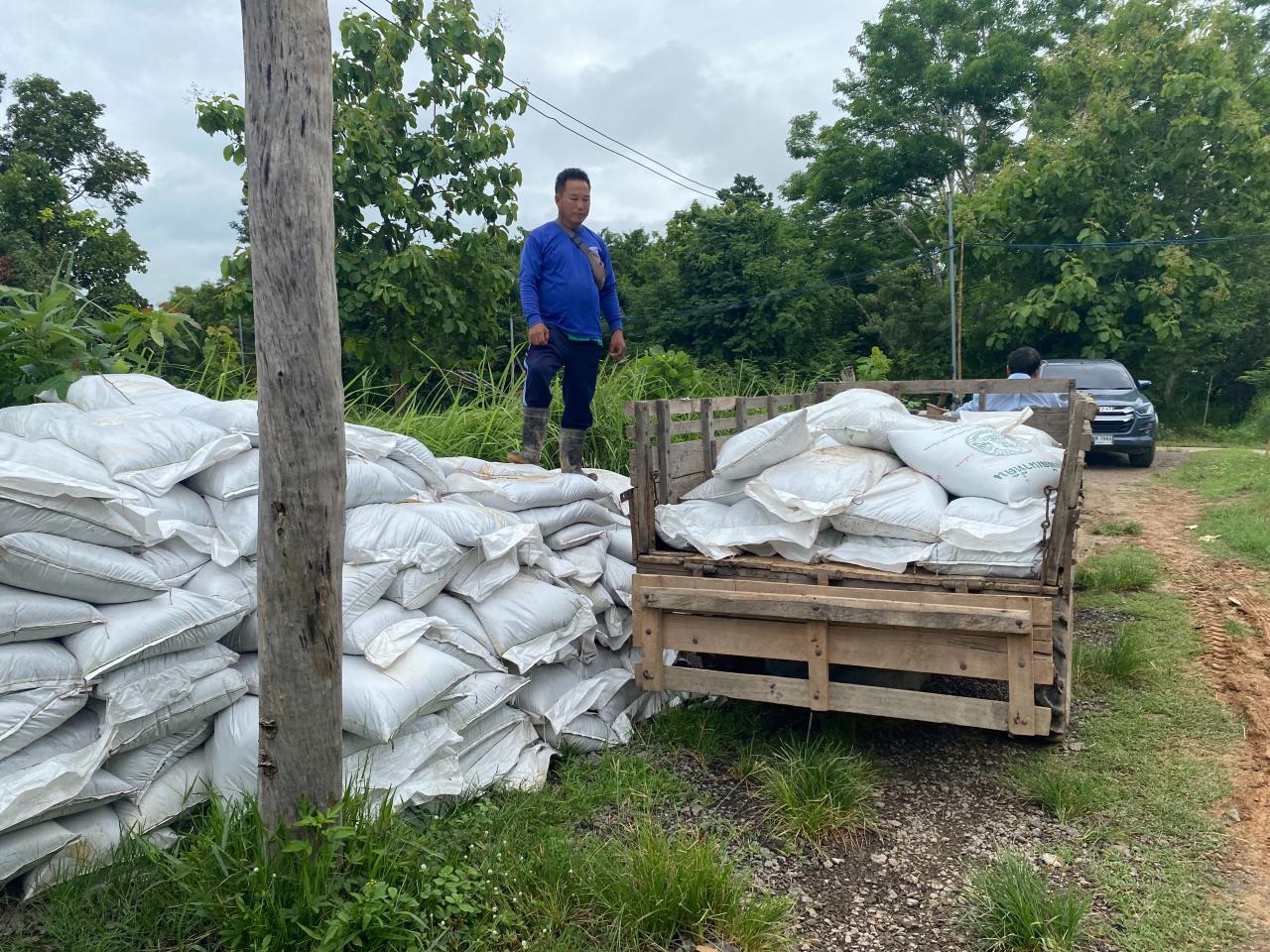 ภาพประกอบที่ 10