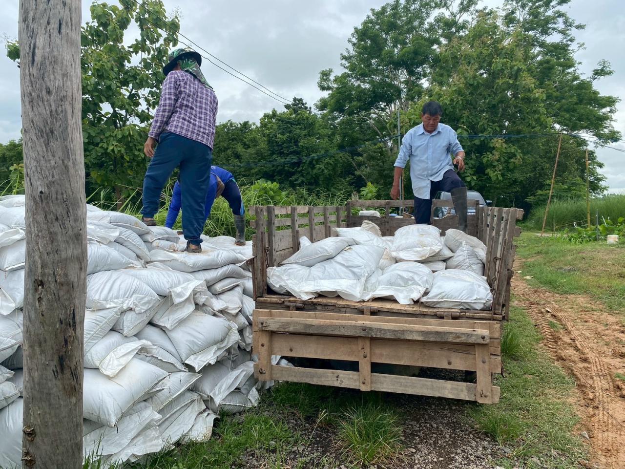 ภาพประกอบที่ 11