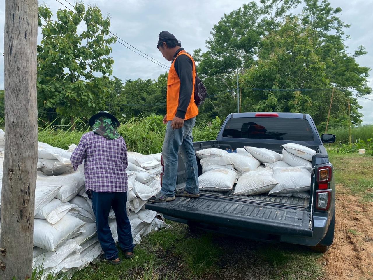 ภาพประกอบที่ 12