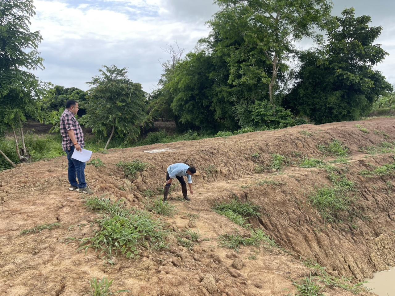 ภาพประกอบที่ 2