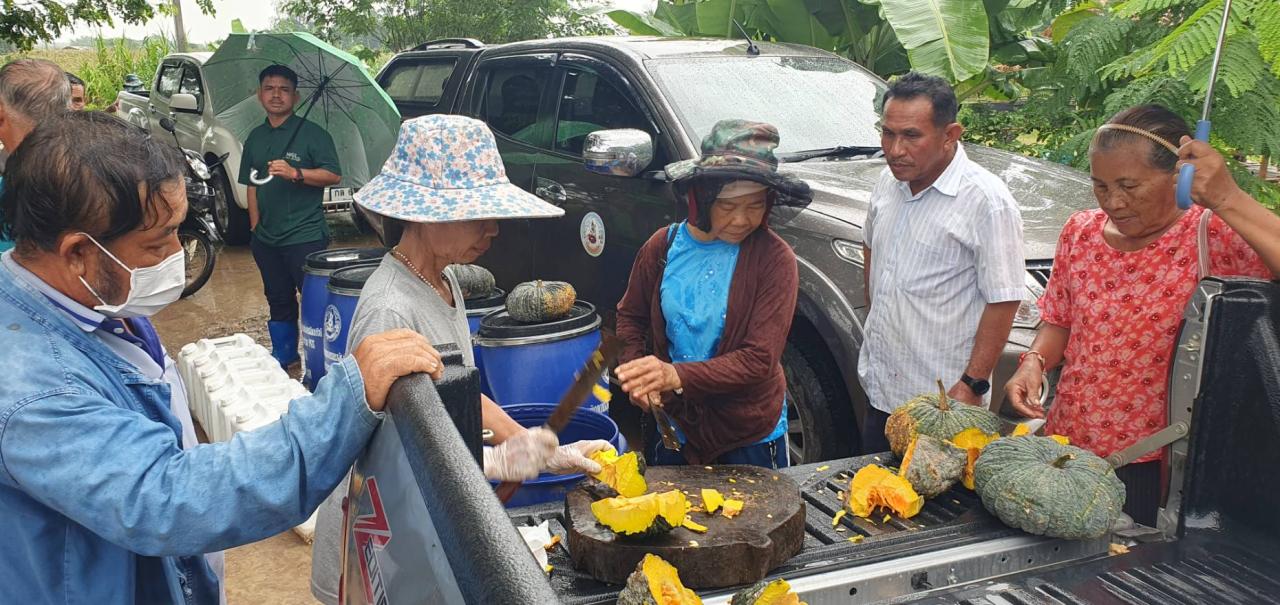 ภาพประกอบที่ 5