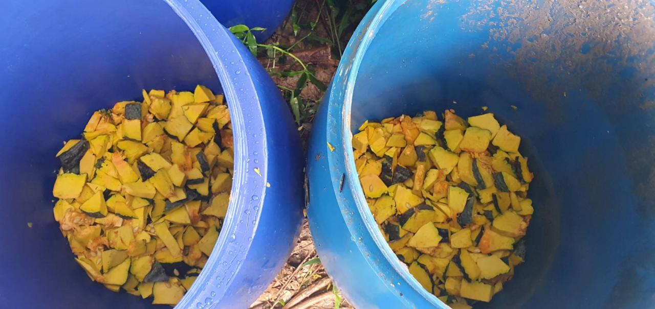 ภาพประกอบที่ 8