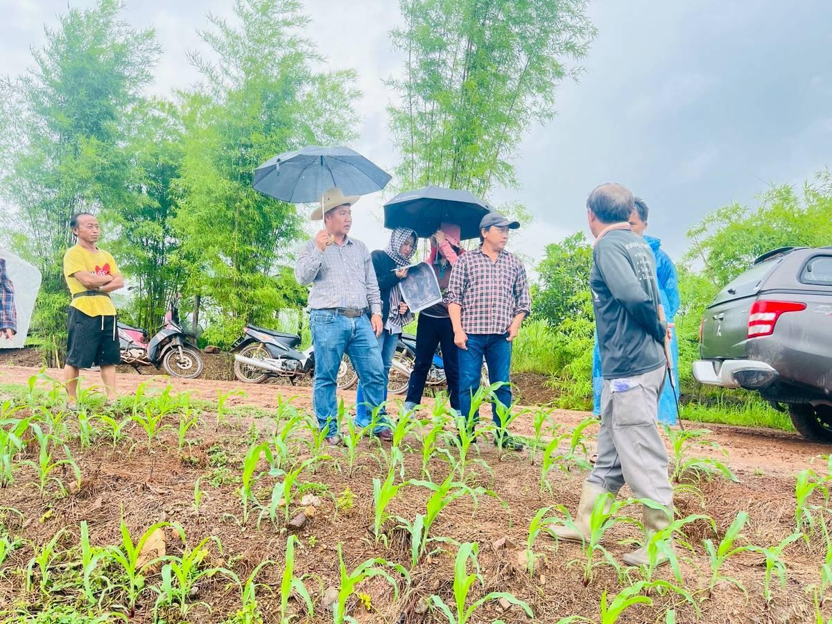 ภาพประกอบที่ 1