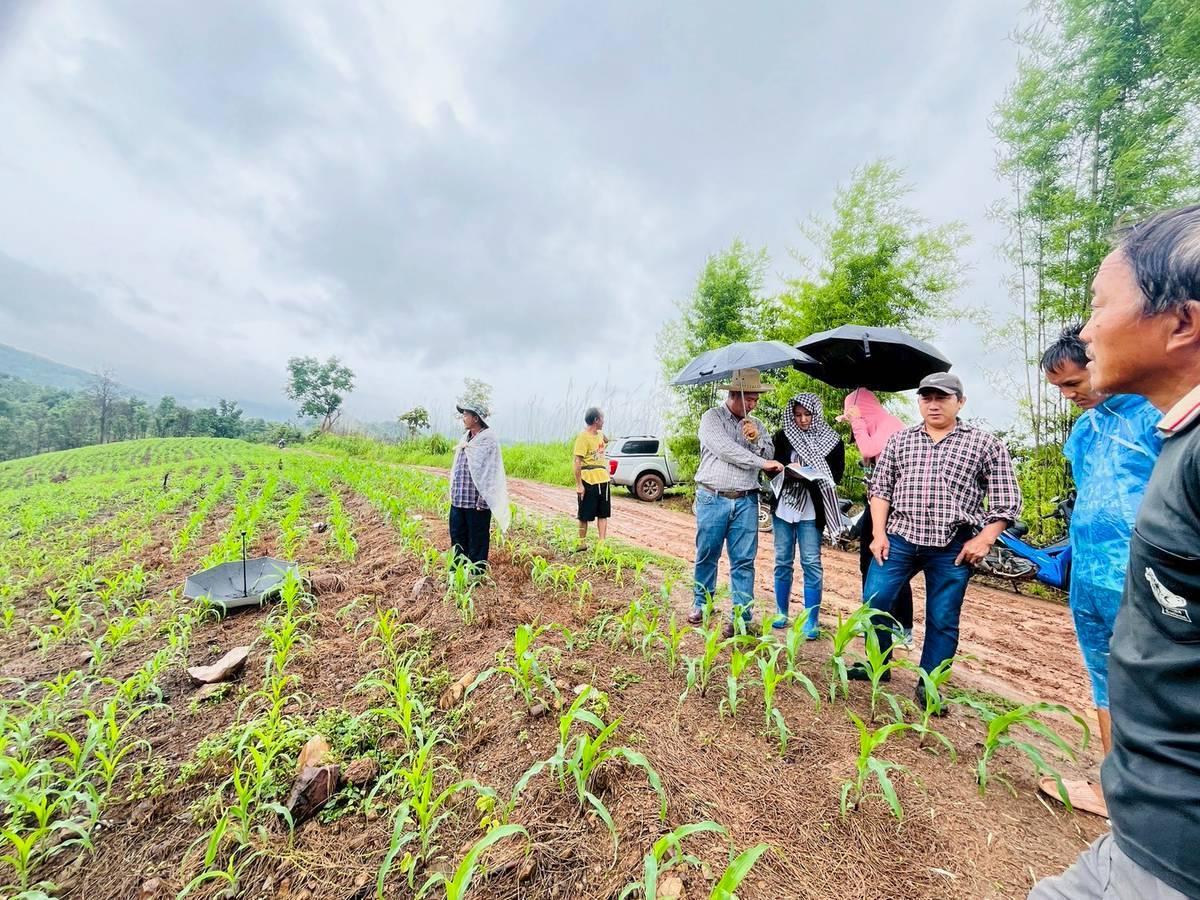 ภาพประกอบที่ 2