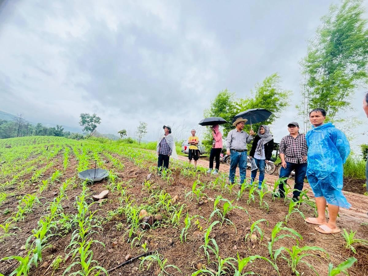 ภาพประกอบที่ 3