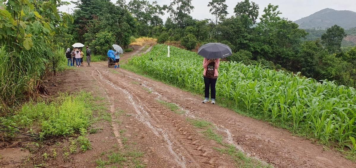 ภาพประกอบที่ 5