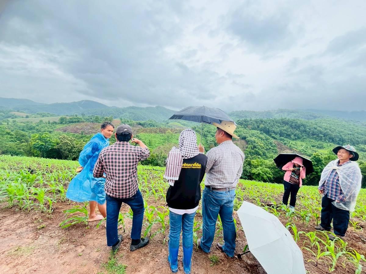 ภาพประกอบที่ 7