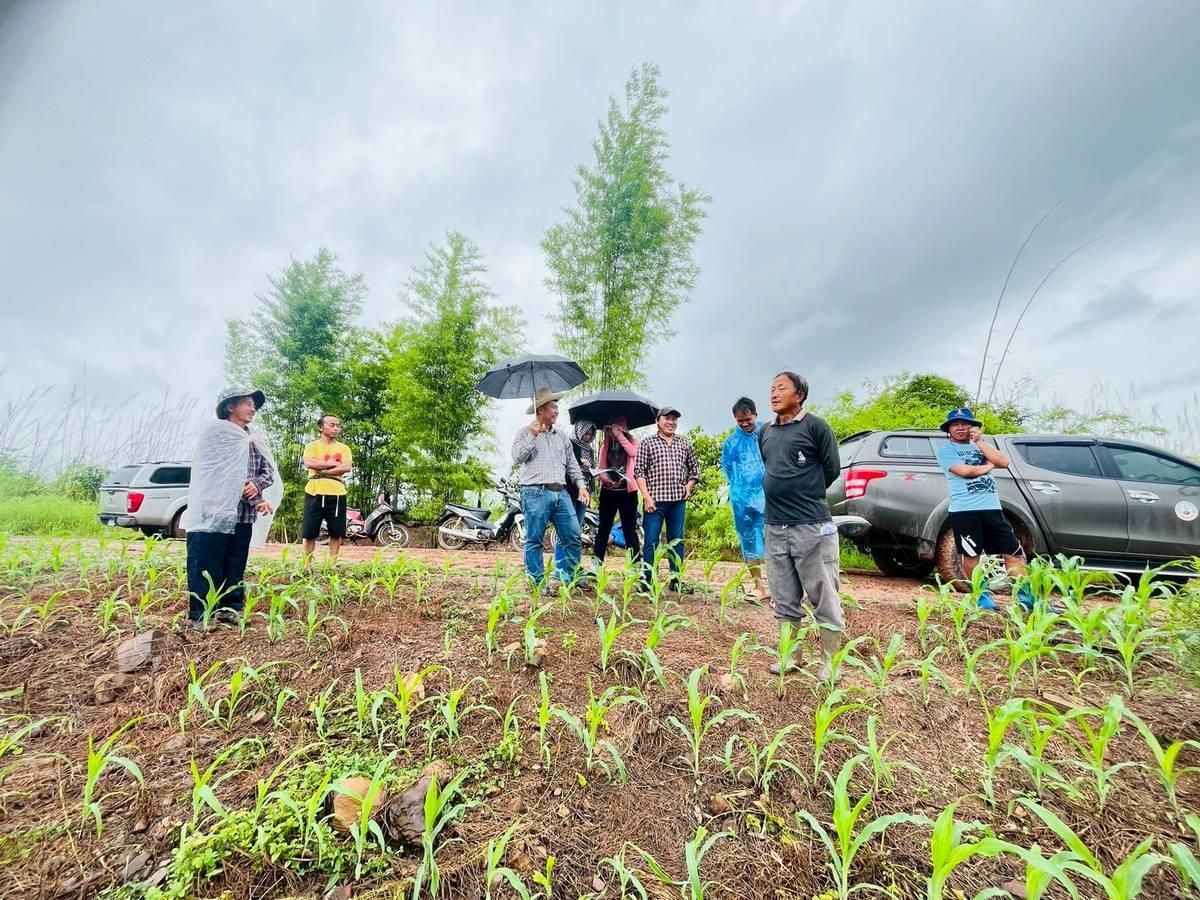 ภาพประกอบที่ 9