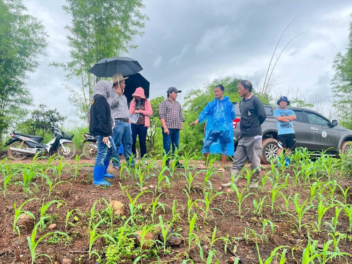 ภาพประกอบที่ 10