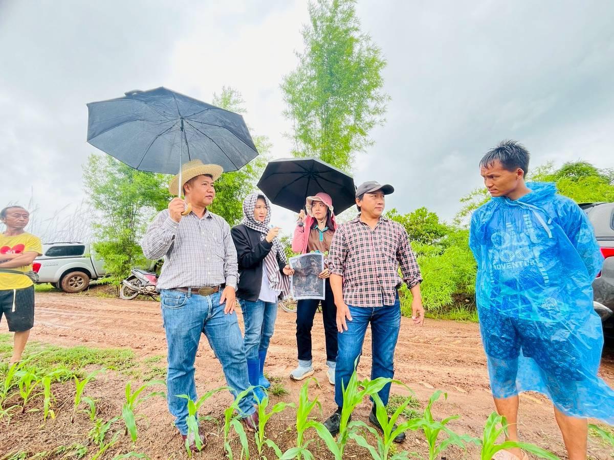 ภาพประกอบที่ 0