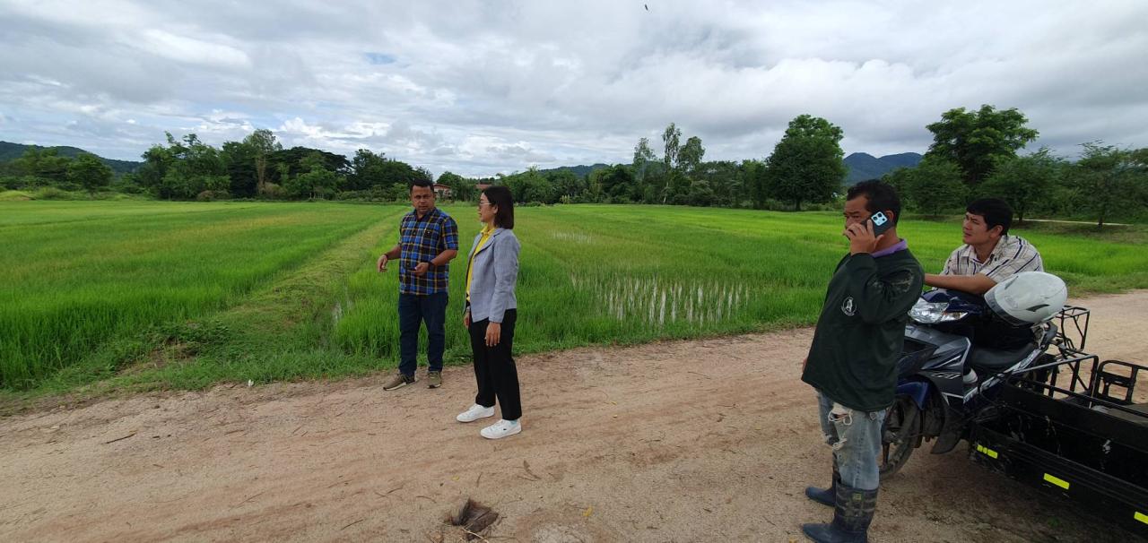 ภาพประกอบที่ 1