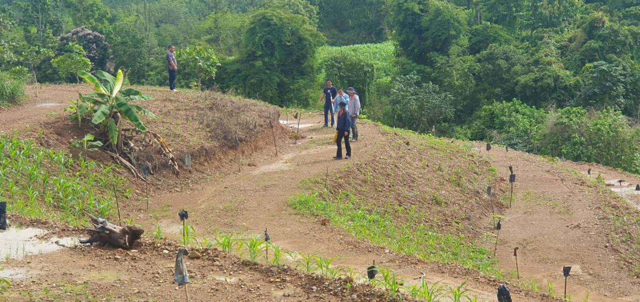ภาพประกอบที่ 1