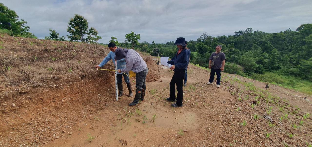 ภาพประกอบที่ 3