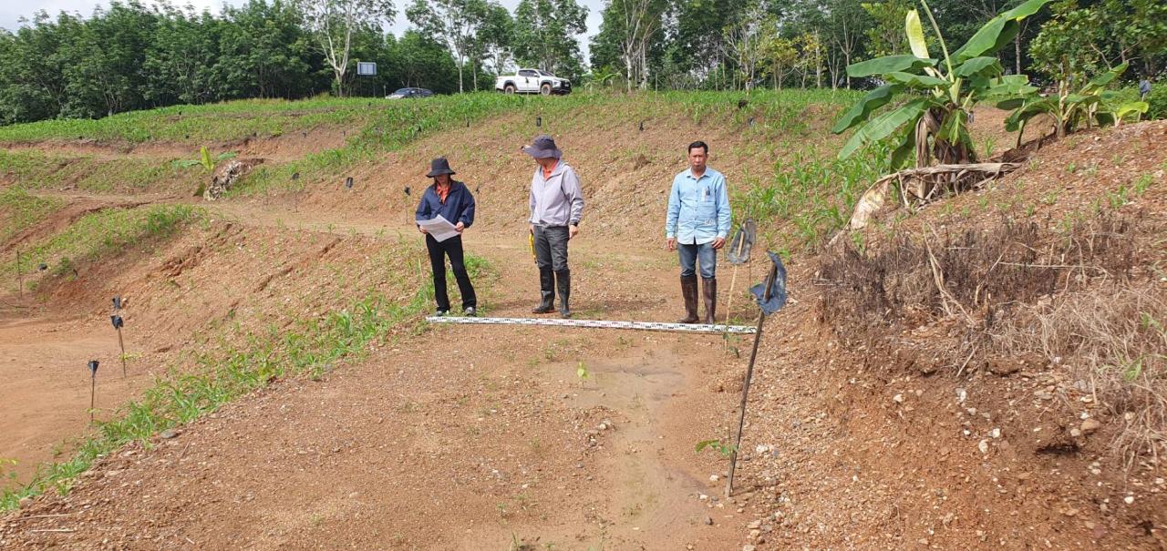 ภาพประกอบที่ 4