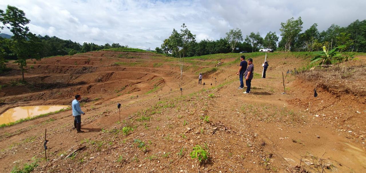 ภาพประกอบที่ 5